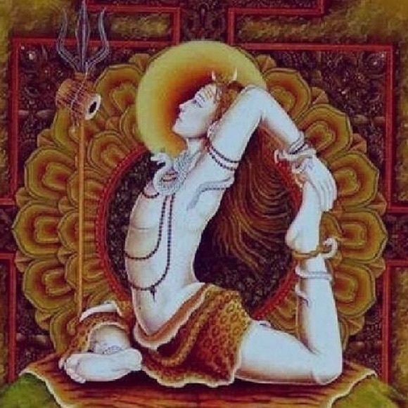 yogi_mom